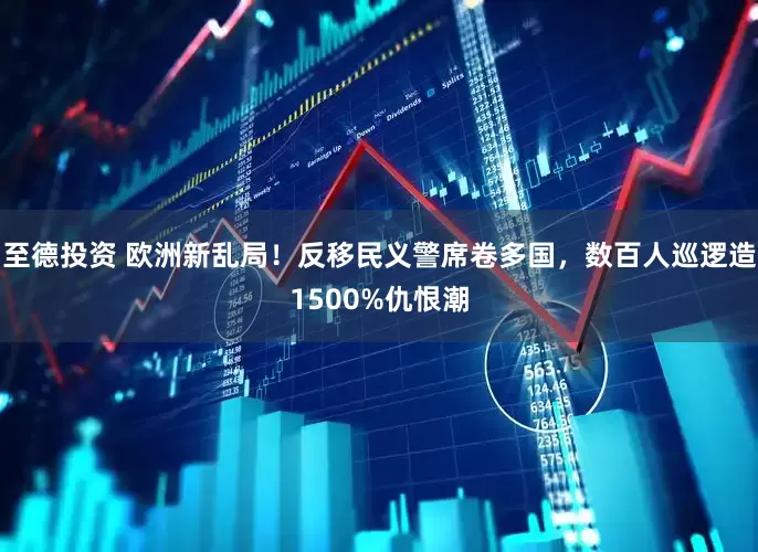 至德投资 欧洲新乱局！反移民义警席卷多国，数百人巡逻造1500%仇恨潮