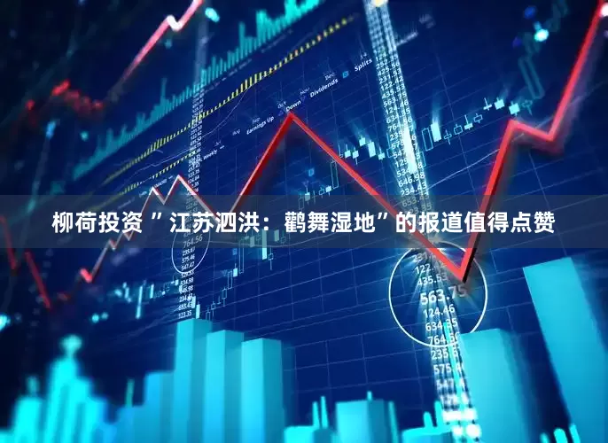 柳荷投资 ”江苏泗洪：鹳舞湿地”的报道值得点赞