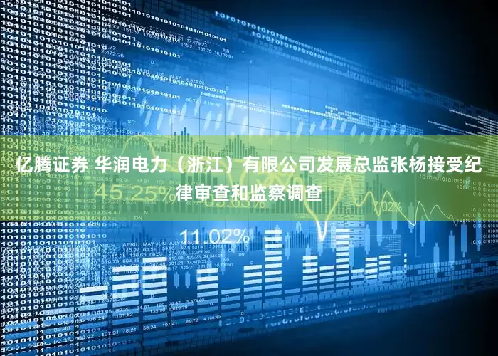 亿腾证券 华润电力（浙江）有限公司发展总监张杨接受纪律审查和监察调查